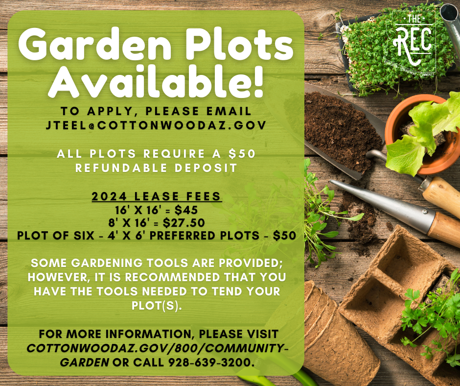 The Rec Announcements